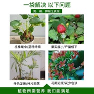 Potassium Dihydrogen Phosphate Flower Fertilizer Fertilizer Special for Flower Culture Foliage Ferti