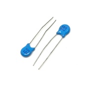 100 CON] 2KV 101 HIGH PRESSURE CAPACITOR 2KV101 100P 2000V -BN1