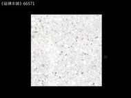 《磁磚本舖》66571 水磨石 灰白色 66571 60*60cm 霧面 浴室 地壁可用  地壁可用