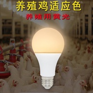 Led Bulb Warm Yellow Light Super Bright Bulb Socket Warm Light E27 Screw B22 Old-fashioned Household