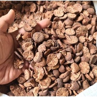PINANG KERING / DRIED ARECA NUT / BETEL NUT / PAKKU ( FROM INDONESIA ) Organic
