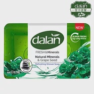 【土耳其dalan】葡萄籽平衡淨化死海鹽礦物皂150g