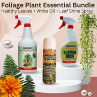 ANDGRO Foliar Spray for Healthy Leaves, Leaf Shine Spray & White Oil Bundle Deal
