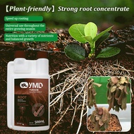 Miraz Liquid Plant Rooting Nutrient Solution