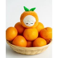 Doll keychain tangerine yoongi agustd bts