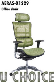 萬象行 - AERAS-X1229 (GREEN) 韓國進口物料專業人體工學辦公椅 安全認證