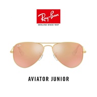 Suitable for Children Ray-Ban Sunglasses, Pilot Style RJ9506S/249/2y Holv Ghin