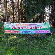 桑惠商號 昭和 日本製 富士FUJIFILM 特別色印刷廣告紀念旗幟