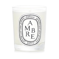 Diptyque 芳香蠟燭 琥珀