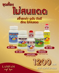 ชุดเลี้ยงไก่ชนไม่สนแดด(rx3000+rx4000+tendon+santolinใหญ่+mc85860ml) (ร้านขายอาหารนก ไก่ อาหารสัตว์เล