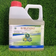 4L Biovista Malathion 57 & BV Malathion 57% Racun Serangga