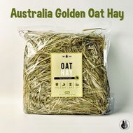 [READY STOCK] Australia Golden Oat Hay 500g (Suitable for rabbits, chinchillas & guinea pigs)