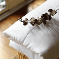 Sunday Bedding TENCEL Duvet Insert