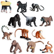 TOBE1 6PCS Lifelike Monkey Model Science  Realistic Early Learning Simulation Gibbon Cubs