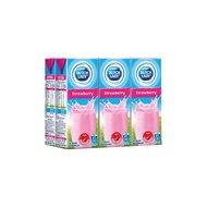 DUTCH LADY STRAWBERRY 6x200ml