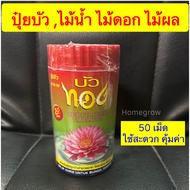 ดินปลูกบัว ดินบัว ดินไม้น้ำ พร้อมส่ง ใหญ่มาก สุดคุ้ม ปั้น ไม่ผสมแกลบดำ