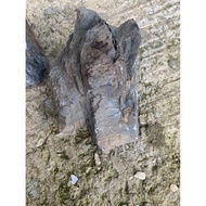 Angular stone - extra gift