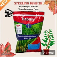 Benih padi Hibrida Sterling BSHS 3H 1KG Original Sterling seeds exp 14