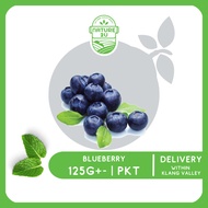 Nature2U Fresh Fruit - Blueberry / Beri Biru / 蓝莓 (125G+- | PKT)