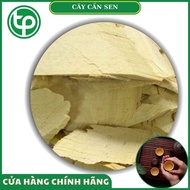 Dried lotus plant - Tan Phat