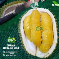 TERBARU DURIAN MUSANG KING FRESH UTUH - MUSANGKING MALAYSIA