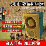 A-6💝Dog Cry Alarm Solar Charging Animal Repeller Scare the Birds Wild Boar Farmland Night Sound and Light Anti-Theft Fla