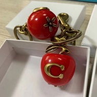 7 types of premium keychains Apple keychain Signature apple bag Charm