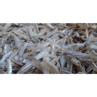 Bilis kopek indrasabah