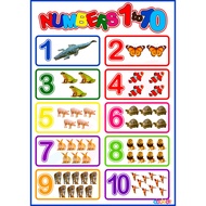 Mathematics Learning Materials and Educational Charts For Kids