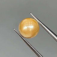 7444N6- YELLOW AKOYA PEARLS UNTREATED SALT WATER IMPLANTATION CREAM (not drilled) (specs in photo) 2