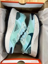 📣Nike Pegasus Trail 3 GTX 越野 防滑透氣 跑鞋 女款 藍綠🔥全新正貨