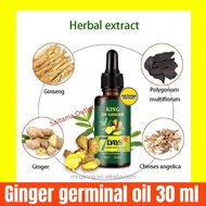 Ginger Oil Serum Rambut Herbal Minyak Penumbuh Rambut Cepat King Of Ginger 7 Days