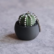 星兜按键鎖匙扣 鑰匙圈/吊飾/多肉塊根植物/送禮/辦公室擺設/盆栽