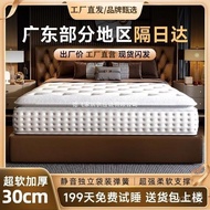 Independent Famous Product Spring Mattress Top Ten Hilton Coconut Palm Soft Hard Dual-Use Five-Star 