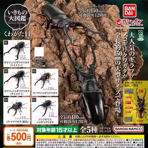 Genuine Bandai Stag Beetle Model Prosopocoilus Giraffa Realistic Simulation Insect Gashapon Toys Adu