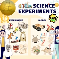 Wooden puzzle educational toy DIY assembly science experiment science science science experiment ins