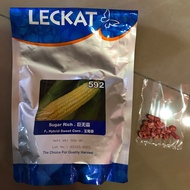 100g Leckat Sugar Rich 592 (F1 Hybrid)