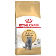 Royal Canin British Short hair Adult 2kg