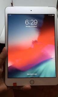 iPad mini 3 sim and wifi gold 16gb