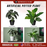 FEJKA Artificial Potted Plant Calathea & Alocasia Indoor Outdoor Decorative Plant Pokok Hiasan