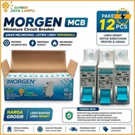 Mcb Morgen Mcb Izunli Electric Sni 1P 4A 6A 10A 16A 20A 25A 32A Best Quality