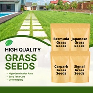 【FREE Fertilizer】 Bermuda Grass Seed / Japanese Grass Seed / Benih Rumput