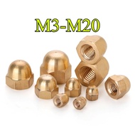Copper Cap Type Nut Cap Nut Nut Nut Copper Nut/M3/M4/M5-M20 (HJX-TH)
