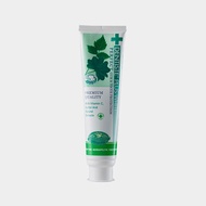 Dentiste Nighttime Normal Toothpaste Tube 160g