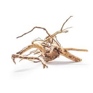 Aquascaping Soaked and Boiled Azalea Wood spider wood Aquarium Sink Wood