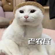 Cat Cat Straw Hat Photo Handy Tool Summer Funny Sun Hat Farmer Hat Old Farmer Knitted Hat Pet Farmer