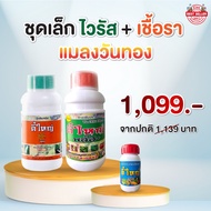 Big Virus 500cc + Plus 500cc + Golden Day Insecticide 250cc