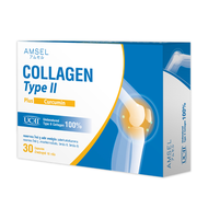 AMSEL Collagen Type II Plus Curcumin