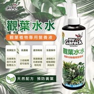 [Physical Store] Mr. Ganick Foliage Foliage Water 250ml Foliage Plant Dedicated Nutrient Liquid Turt