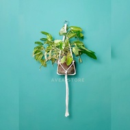 Macrame, hanging pot rope, macrame home decoration rope to look aesthetic and beautiful